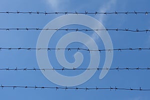 Barbed wire on the background of a blue sky with clouds.