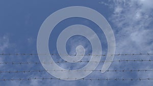 Barbed wire on a background of clouds