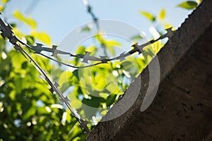 Barbed wire on the background of green, soft focus