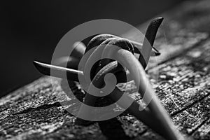 Barbed wire black and white image