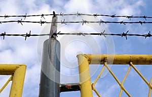 Barbed wire and blue skies