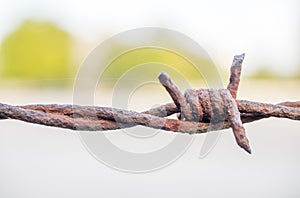 Barbed wire with blurred background