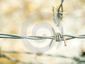 Barbed wire with blurred background