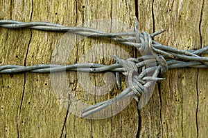 Barbed wire bow
