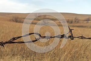 Barbed wire and brown prairie grass, Kansas