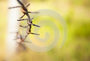 Barbed wire close up