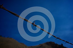 Barbed Wire Close Up