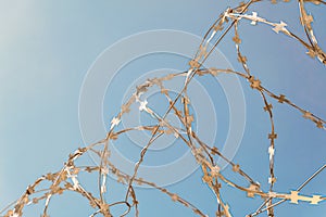 Barbed wire close-up on a blue sky background