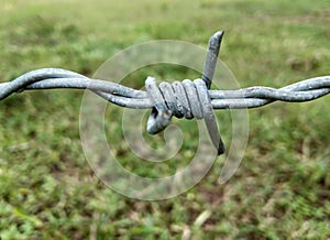Barbed wire close-up, blurred background. Concept. Anti-invasion border barrier, border seam, security, feeling, difficult, sharp
