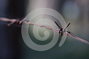 Barbed wire close up outdoor