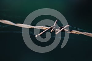 Barbed wire close up outdoor
