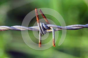 Barbed wire