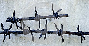Barbed wire close-up. A symbol of terror, famine and genocide. A symbol of totalitarian and terrorist regimes
