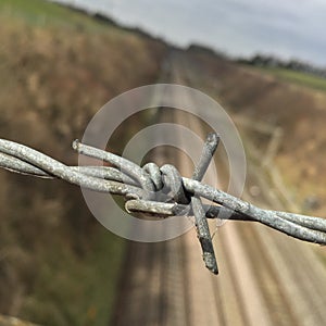 Barbed Wire