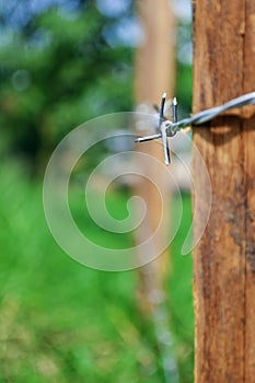 Barbed wire closeup