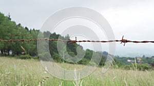 Barbed wire closeup on a fence in a field with a forest on a background of blue sky