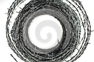 Barbed wire coil interior forming tunnel