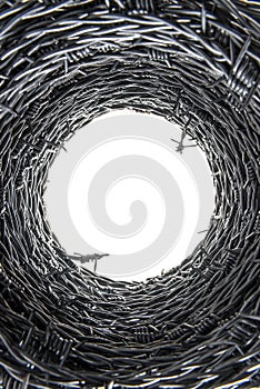Barbed wire coil interior forming tunnel