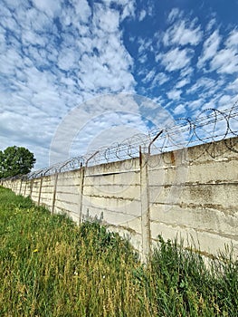 Barbed wire on concrete fence