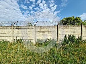 Barbed wire on concrete fence