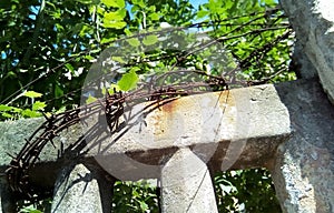 Barbed wire on a concrete fence against the background of green foliage and blue sky.