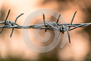 Barbed wire on concrete fence with Twilight sky to feel worrying