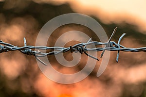 Barbed wire on concrete fence with Twilight sky to feel worrying