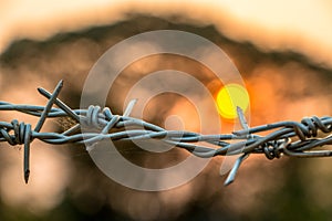 Barbed wire on concrete fence with Twilight sky to feel worrying