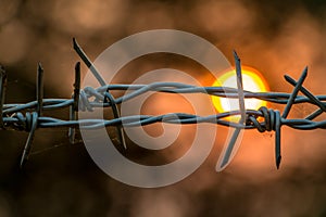 Barbed wire on concrete fence with Twilight sky to feel worrying