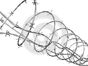 Barbed wire curled in spiral