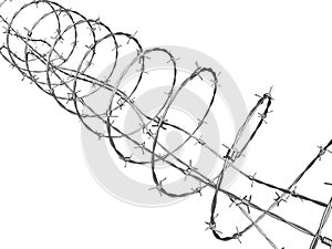 Barbed wire curled in spiral