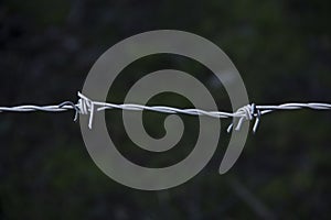 Barbed wire