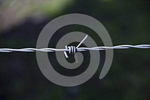 Barbed wire