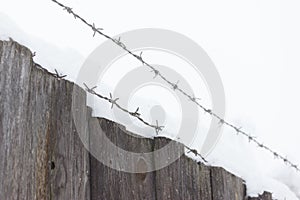 Barbed wire on dark fence.