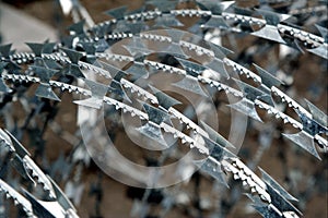 Barbed wire details