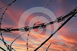 Barbed wire on dramatic sky background at sunset
