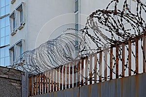 Barbed wire egoza spiral on the fence.