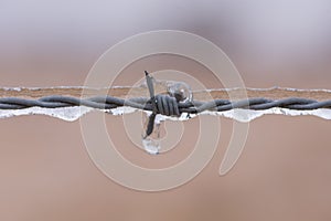 Barbed wire encased in ice