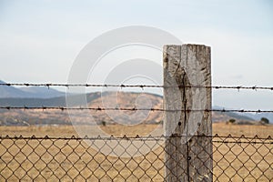 Barbed wire entanglement with wooden post