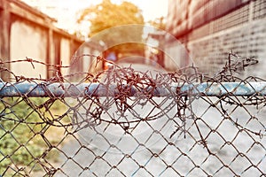 Barbed wire entrance fences prevent intruders from entering restricted areas photo