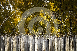 Barbed wire on the fence