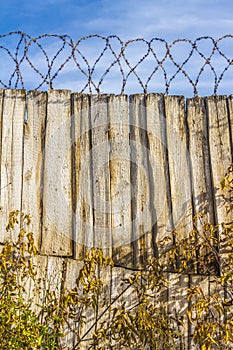 Barbed wire on the fence