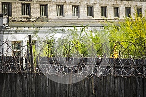 Barbed wire on the fence