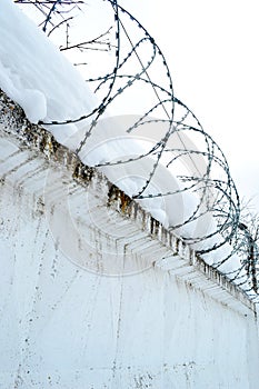 Barbed wire on the fence