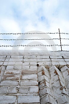 Barbed wire on the fence