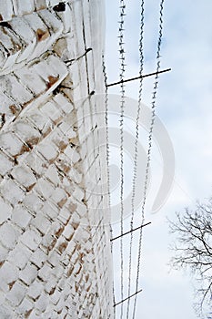 Barbed wire on the fence