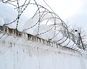 Barbed wire on the fence