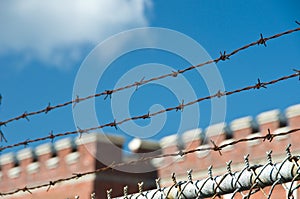 Barbed wire and fence