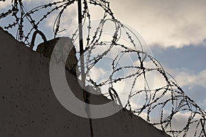 Barbed wire on the fence