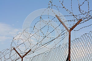 Barbed wire fence